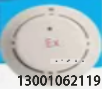 JTY-GM-LD3000G（防爆型） 安裝使用說明書